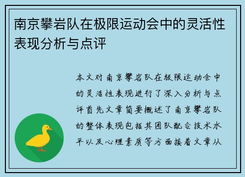 南京攀岩队在极限运动会中的灵活性表现分析与点评